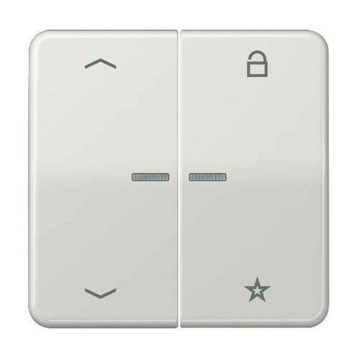 Накладка на жалюзийный выключатель Jung, светло-серый, CD1701PLG