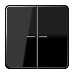 Клавиша двойная JUNG CD 500, черный