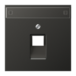 JUNG LS 990 Антрацит Накладка 1-ой наклонной ТЛФ/комп розетки с полем для надписи